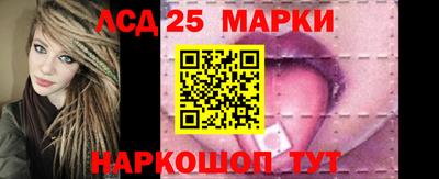 прущие грибы Сланцы