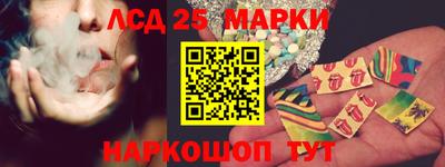 прущие грибы Сланцы