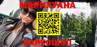 прущие грибы Сланцы