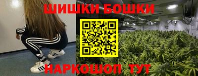 прущие грибы Сланцы