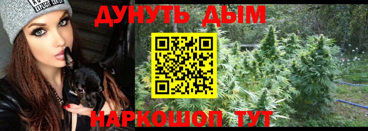 Канабис планчик Истра